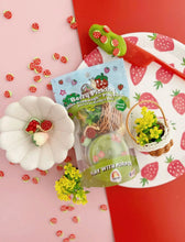 dough-to-go mini packs: choose your pack