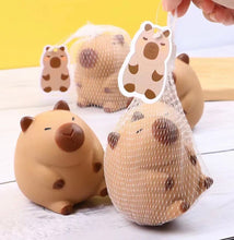 capybara squishy