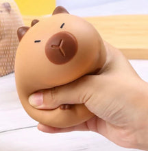 capybara squishy