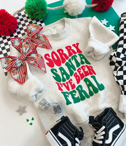 sorry Santa sweatshirt