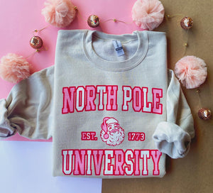 North Pole University sweatshirt | adult